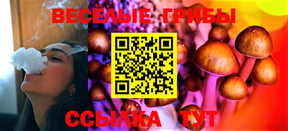 Псилоцибиновые грибы Cubensis  Вход с VPN  наркота  Малоярославец  Псилоцибиновые грибы прущие грибы 