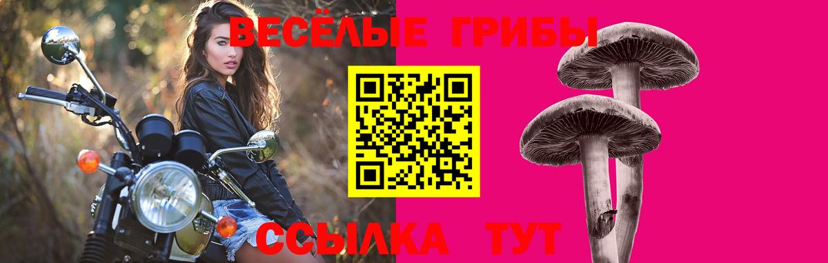 Галлюциногенные грибы MAGIC MUSHROOMS Малоярославец